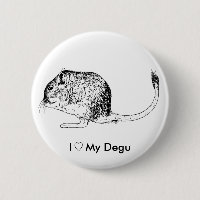 Amour Degus - goupilles