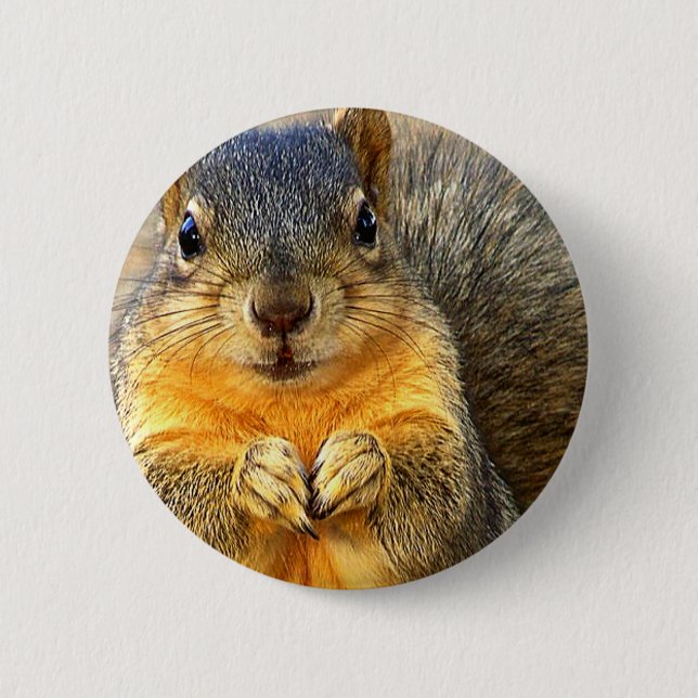 Badge Rond 5 Cm Amour des écureuils_ (Devant)