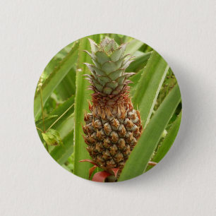 Badge Rond 5 Cm Ananas sauvage Fruit tropical dans la nature