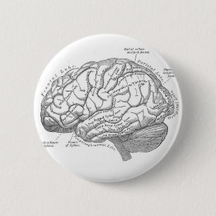 Badge Rond 5 Cm Anatomie vintage de cerveau