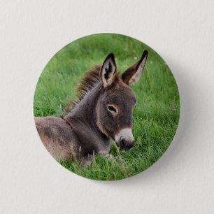 Badge Rond 5 Cm Âne dans l'herbe