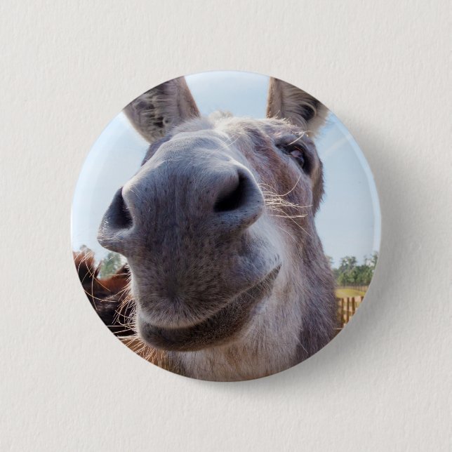 Badge Rond 5 Cm Âne souriant (Devant)