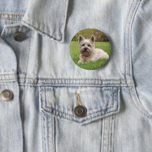 Badge Rond 5 Cm Animaux de bébés cutest   Cairn Terrier Dog