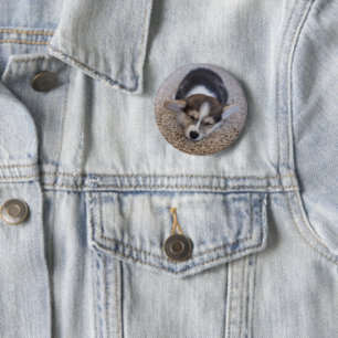 Badge Rond 5 Cm Animaux de bébés cutest Corgi Chiot sur Shag Rug