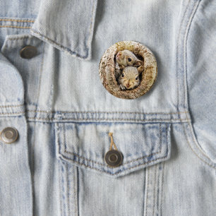 Badge Rond 5 Cm Animaux de bébés cutest   Écureuils curieux