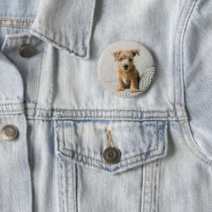 Badge Rond 5 Cm Animaux de bébés cutest Norfolk Terrier Puppy