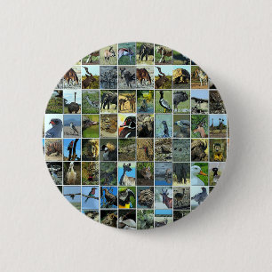 Badge Rond 5 Cm Animaux du monde