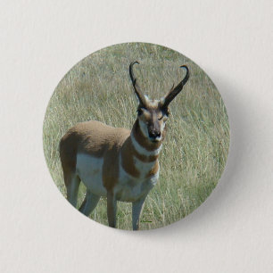 Badge Rond 5 Cm Antilope d'Amérique A13