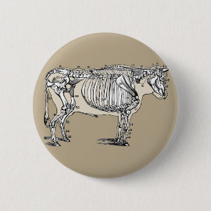 Badge Rond 5 Cm Antique Cow Skeleton Bones