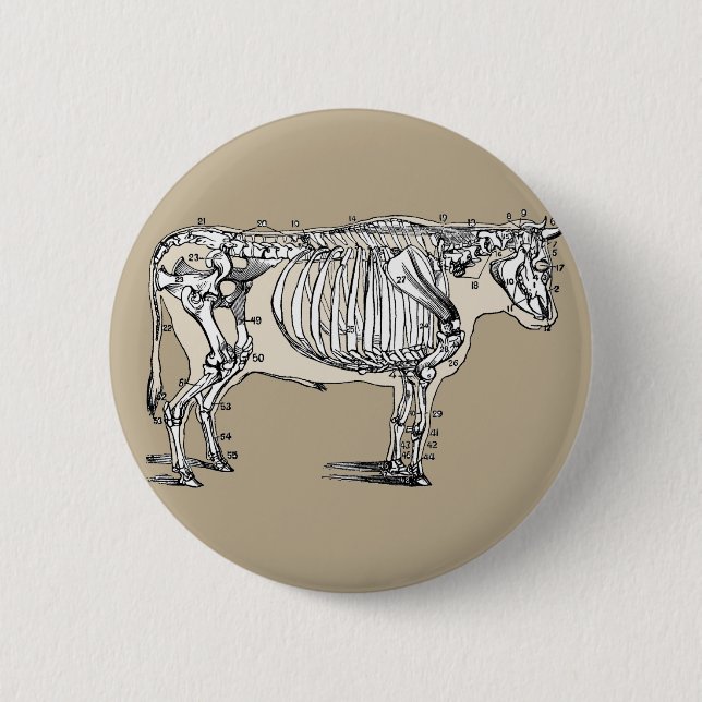 Badge Rond 5 Cm Antique Cow Skeleton Bones (Devant)