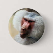 Ape dire howdy