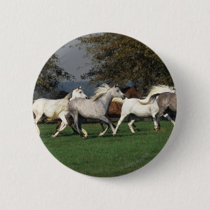 Badge Rond 5 Cm Arabes courant dans le domaine