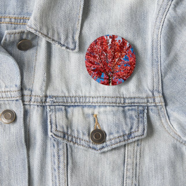 Badge Rond 5 Cm Arbre à feuilles rouges à l'automne (En situation)