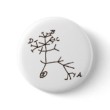 Arbre de Darwin