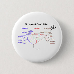 Badge Rond 5 Cm Arbre de la vie phylogénétique - vous êtes ici 