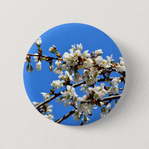 Badge Rond 5 Cm Arbre de printemps blanc fleuri blanc