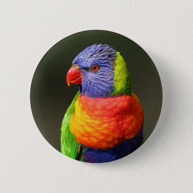 Badge Rond 5 Cm Arc-en-ciel Lorikeet (Devant)