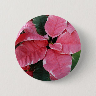Badge Rond 5 Cm Argent Star Marbre Poinsettias Pink Holiday Floral