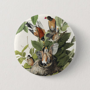 Badge Rond 5 Cm Art ancien nid d'oiseau merle d'Amérique d'Audubon