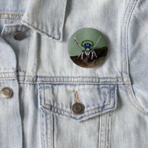 Badge Rond 5 Cm Art numérique d'araignée Peacock mignon