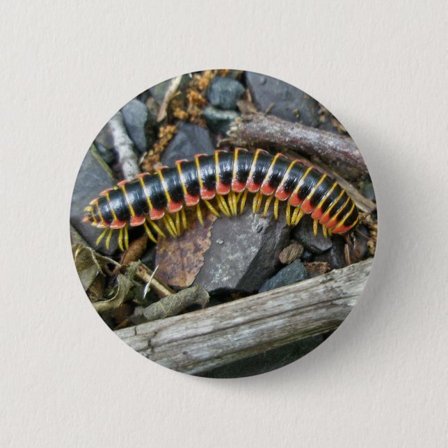 Badge Rond 5 Cm Articles de série Millipede (Devant)