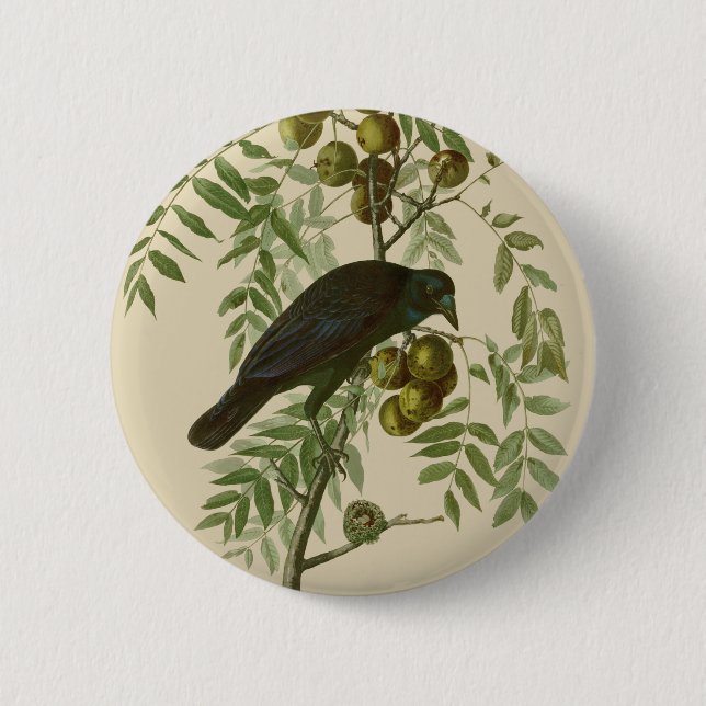 Badge Rond 5 Cm Audubon American Crow Black Bird (Devant)