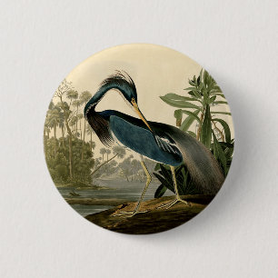 Badge Rond 5 Cm Audubon Héron de Louisiane Oiseaux Amérique Art