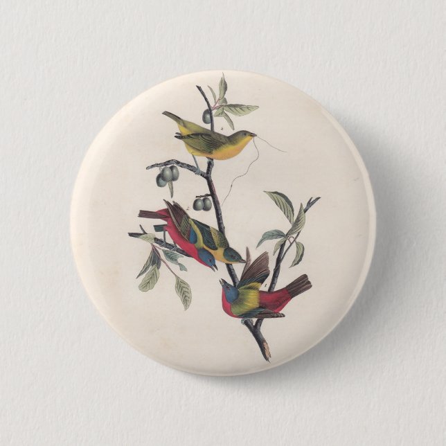 Badge Rond 5 Cm Audubon Peint Bunting Bird Wildlife (Devant)