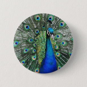 Badge Rond 5 Cm Aussi fier comme paon
