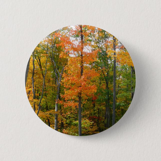 Badge Rond 5 Cm Automne Maple Trees Automne Photographie de la nat (Devant)