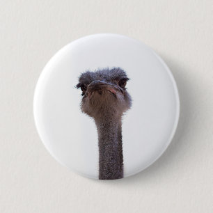 Badge Rond 5 Cm autruche