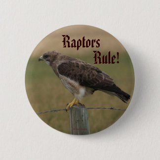 Badge Rond 5 Cm B10 Buse de Swainson