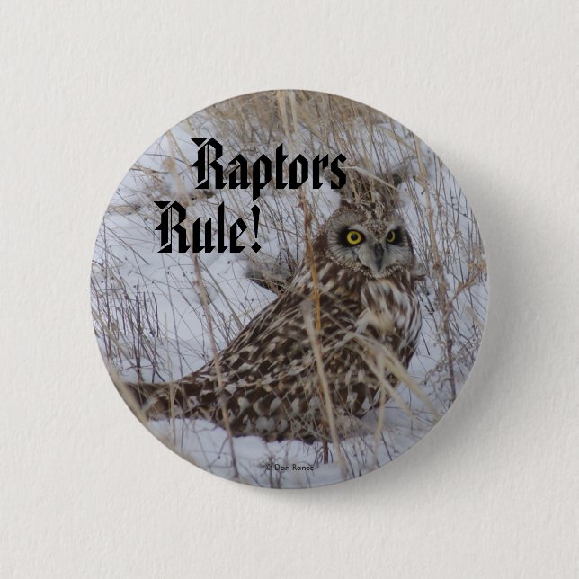 Badge Rond 5 Cm B11 Chouette à oreilles courtes (Devant)