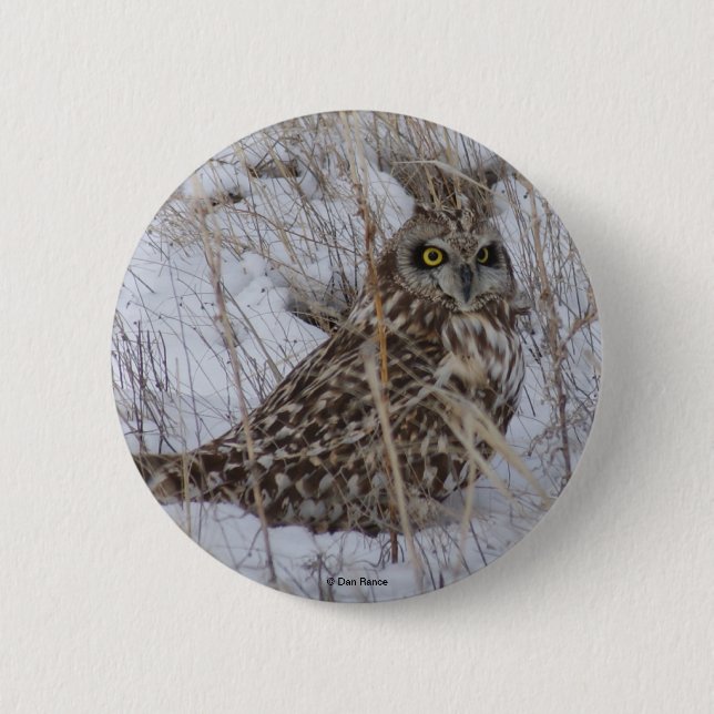 Badge Rond 5 Cm B11 Chouette à oreilles courtes (Devant)