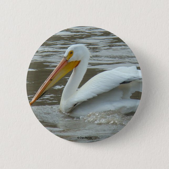 Badge Rond 5 Cm B14 Pélican blanc (Devant)