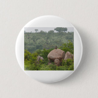 Badge Rond 5 Cm Baboon sur un rocher