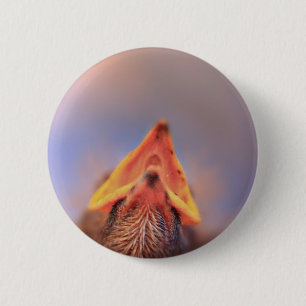 Badge Rond 5 Cm Baby Bird 2