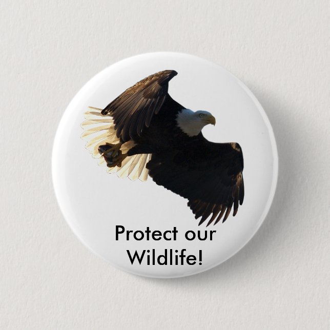 Badge Rond 5 Cm Bald Eagle Vol Collection II (Devant)