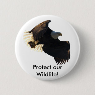 Badge Rond 5 Cm Bald Eagle Vol Collection II