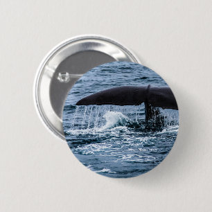 Badge Rond 5 Cm Baleine de Sperm