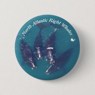 Badge Rond 5 Cm Baleines droites d'Atlantique nord par RoseWrites