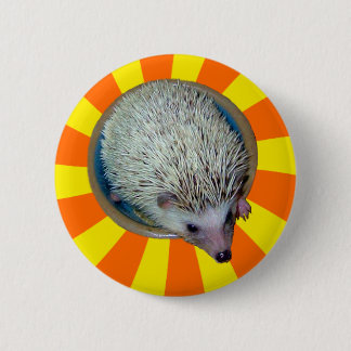 Badge Rond 5 Cm Bam ! Bouton de hérisson