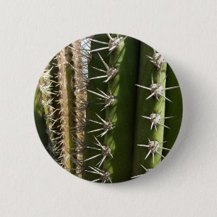 Badge Rond 5 Cm Barrel Cactus II Désert Nature Photo