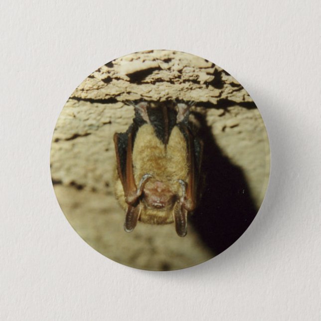 Badge Rond 5 Cm Bat (Devant)