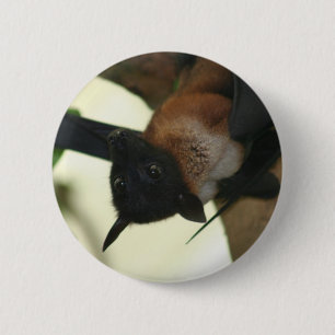 Badge Rond 5 Cm Batte de fruit indienne géante