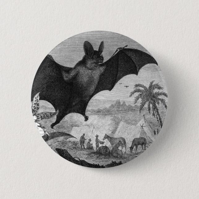 Badge Rond 5 Cm Batte de vampire (Devant)
