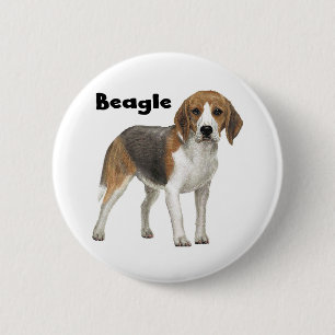 Badge Rond 5 Cm Beagle