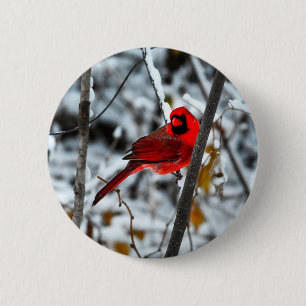 Badge Rond 5 Cm Beau cardinal rouge vif dans la neige