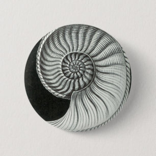 Badge Rond 5 Cm Beau dessin au crayon d'ammonite d'Amaltheus