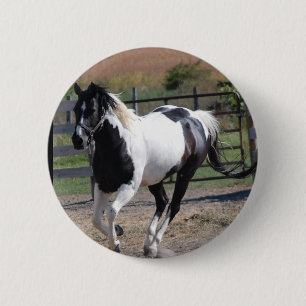 Badge Rond 5 Cm Beau Paint Pinto Horse